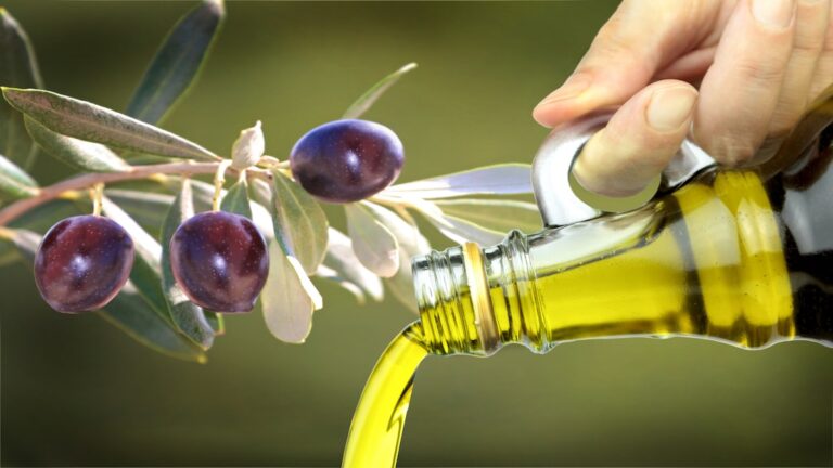 The Marvels of Cold Pressed Olive Oil