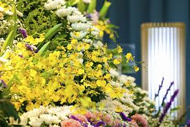 Hampton Kurtz Funeral Homes Obituaries: Honoring Lives with Dignity