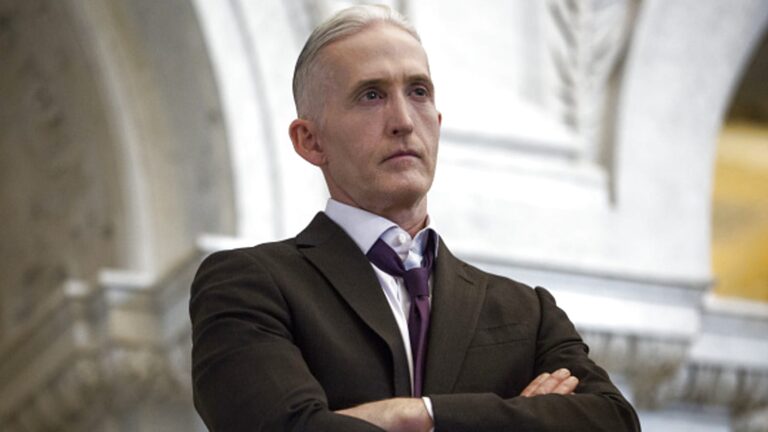 Trey Gowdy and His Role at Fox News