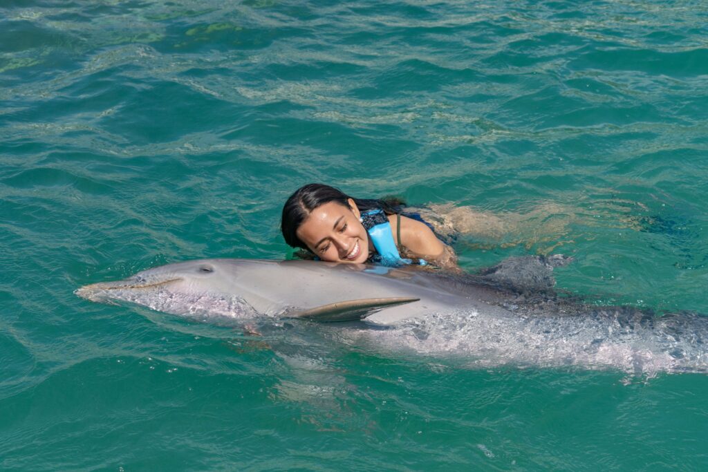 dolphin-discovery-exploring-the-world-of-dolphins. This is very important and creative of the people by Dolphin Discovery