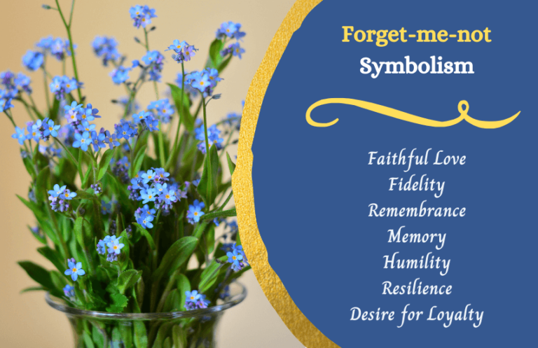 The Meaning of Forget me not Flowers: Symbolism, Cultivation, and Significance