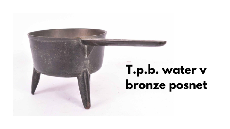 t.p.b. water v bronze posnet